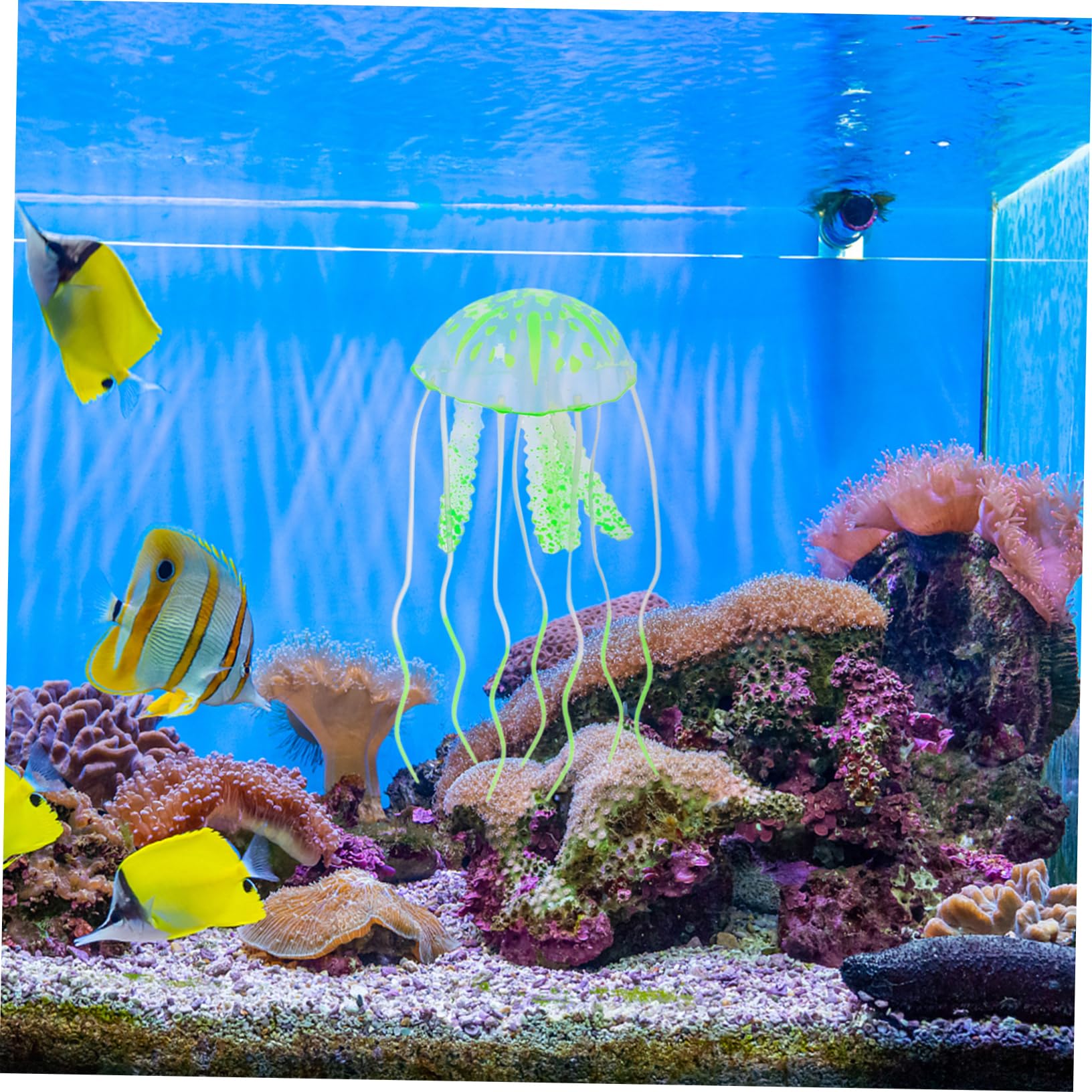 Amazon | PATKAW 3個 水族館の装飾 クラゲ アクアリウム 水槽の植物